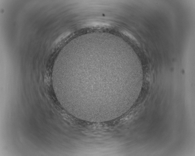 X0000066520869200603201321