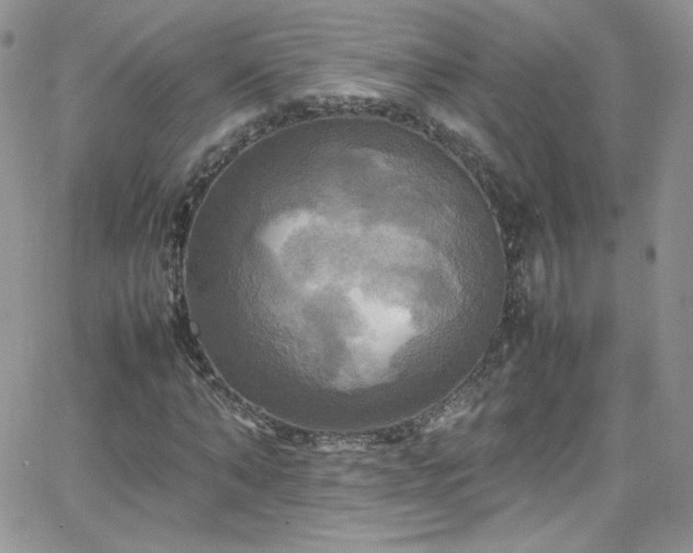 X0000066520870200603201321