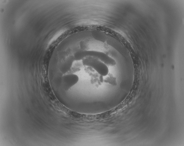 X0000066520871200603201321