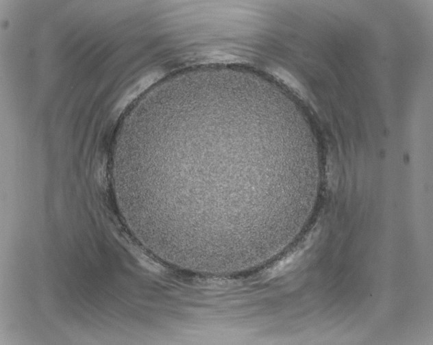 X0000066520873200603201321