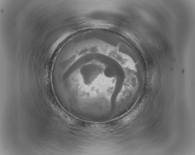 X0000066520875200603201321