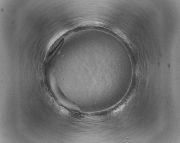 X0000066520877200603201321