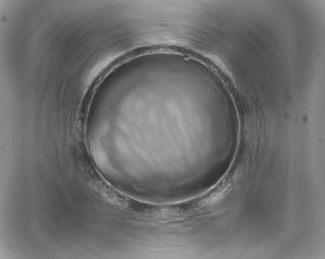 X0000066520879200603201321