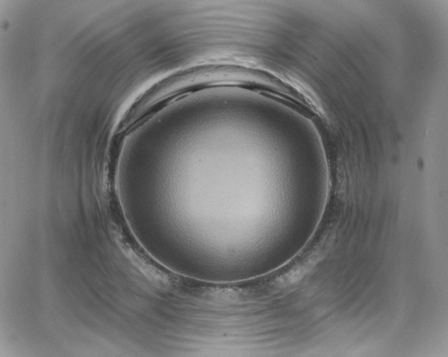 X0000066520880200603201321