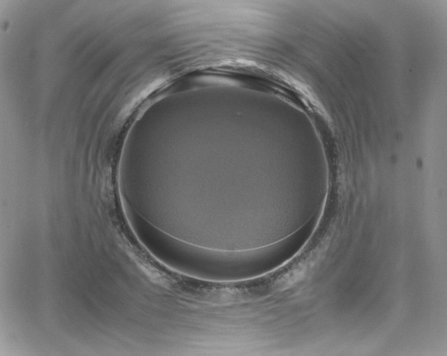 X0000066520881200603201321