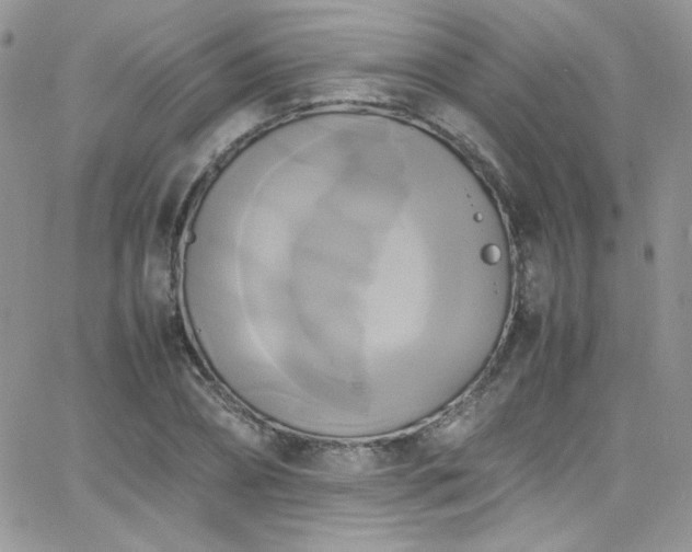 X0000066520882200603201321