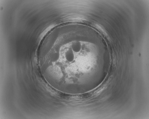 X0000066520883200603201321