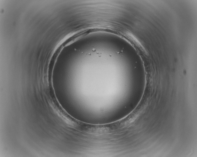 X0000066520884200603201321