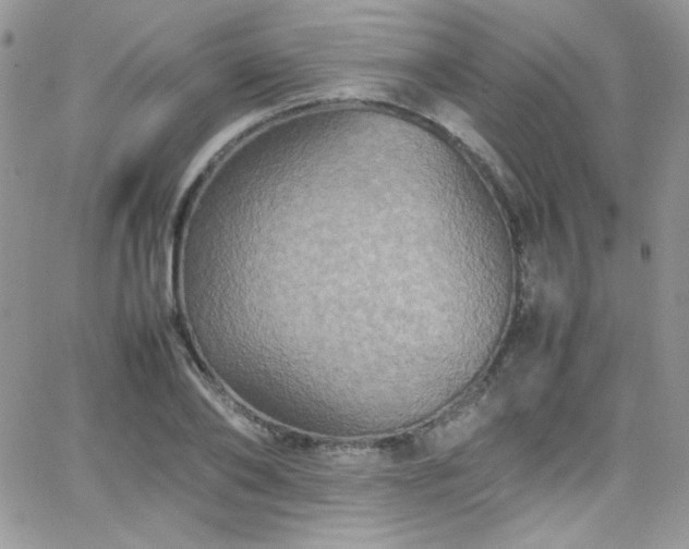 X0000066520886200603201321