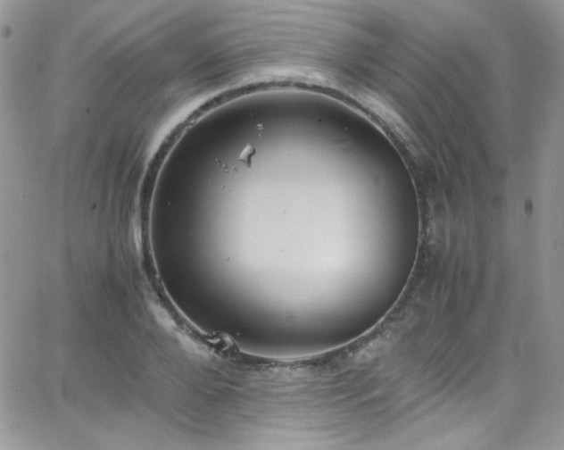 X0000066520888200603201321