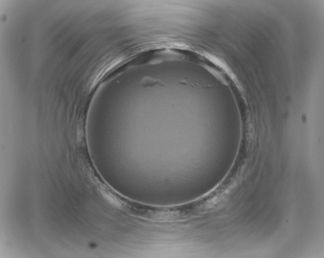 X0000066520889200603201321