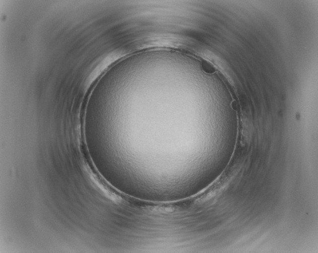 X0000066520890200603201321