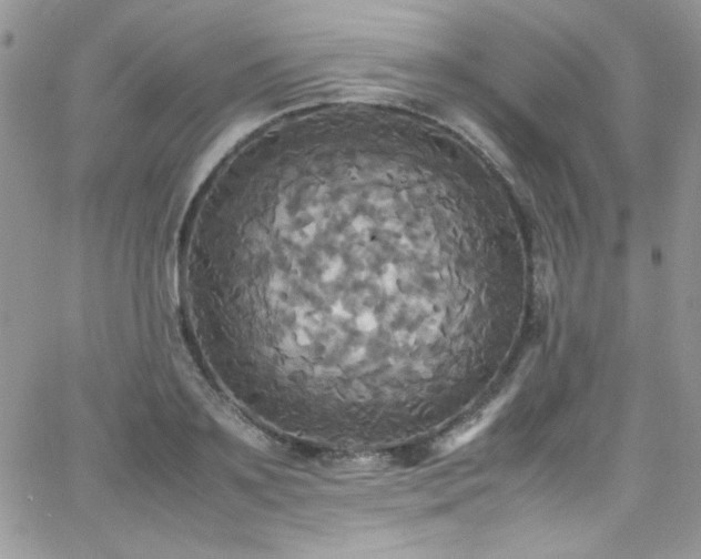 X0000066520891200603201321