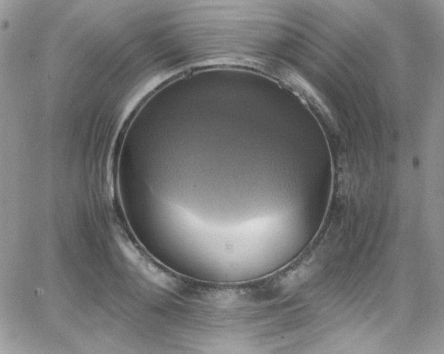 X0000066520892200603201321