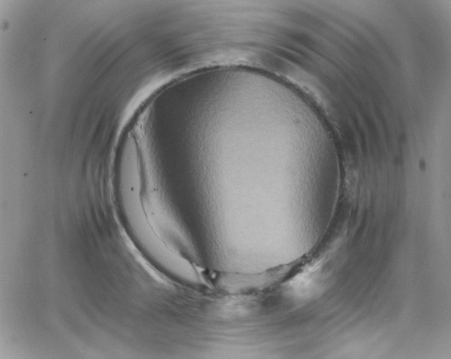 X0000066520894200603201320