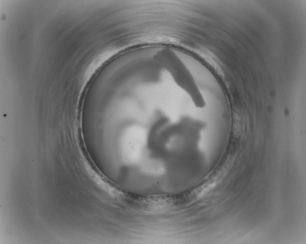 X0000066520895200603201320