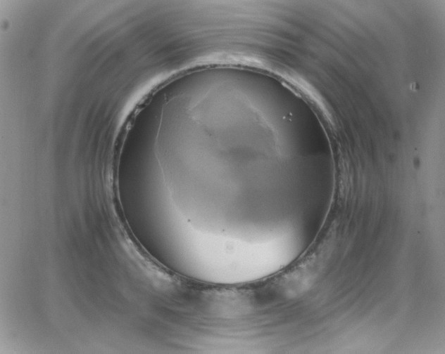 X0000066520896200603201320