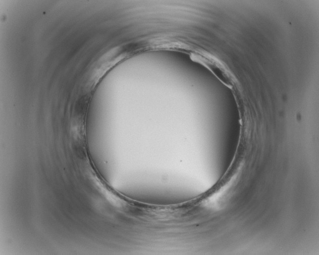 X0000066520897200603201320