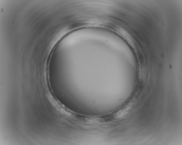 X0000066520899200603201320