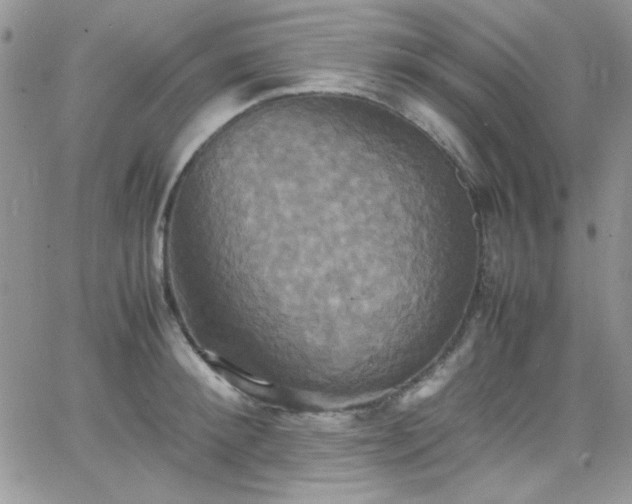 X0000066520900200603201320