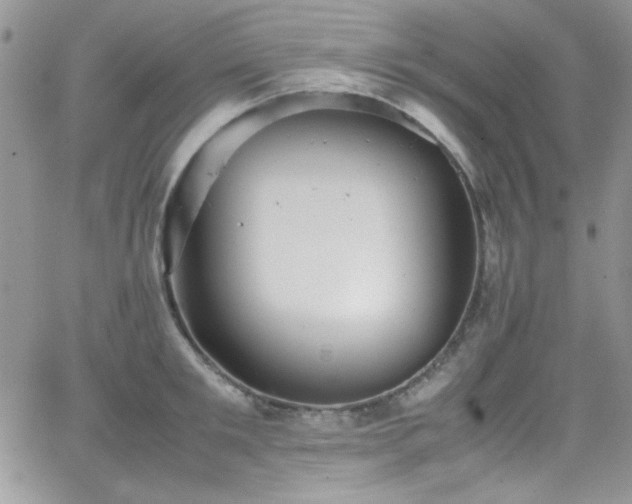 X0000066520901200603201320