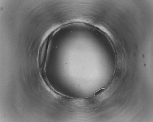 X0000066520902200603201320