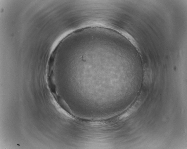 X0000066520904200603201320