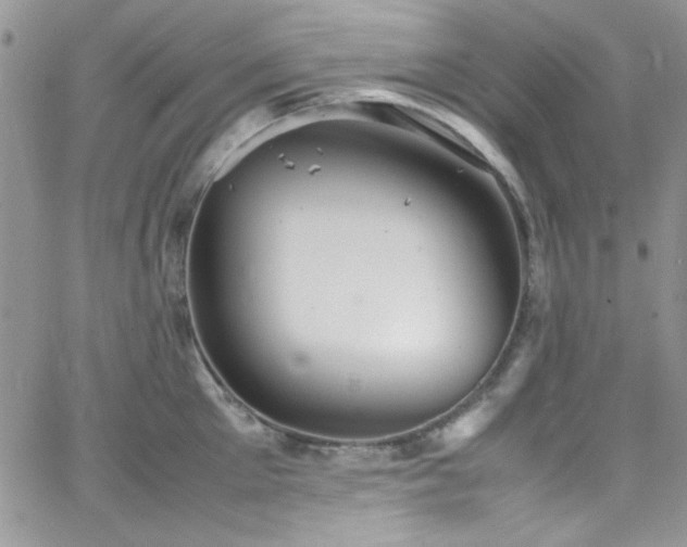 X0000066520905200603201320