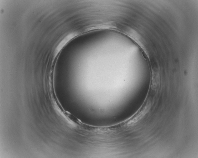 X0000066520906200603201320