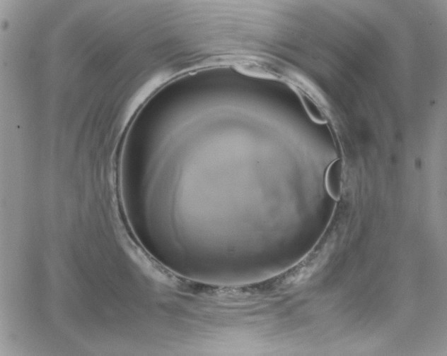 X0000066520907200603201320