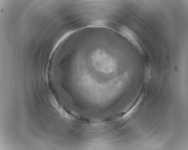 X0000066520908200603201320