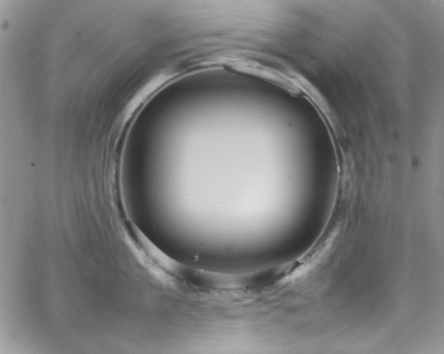 X0000066520909200603201320