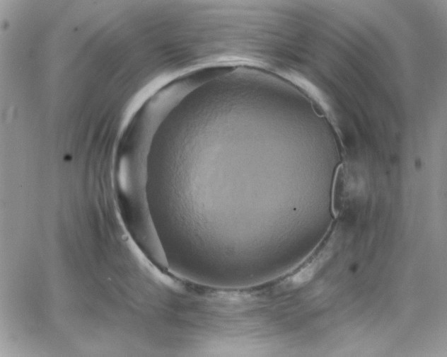 X0000066520910200603201320