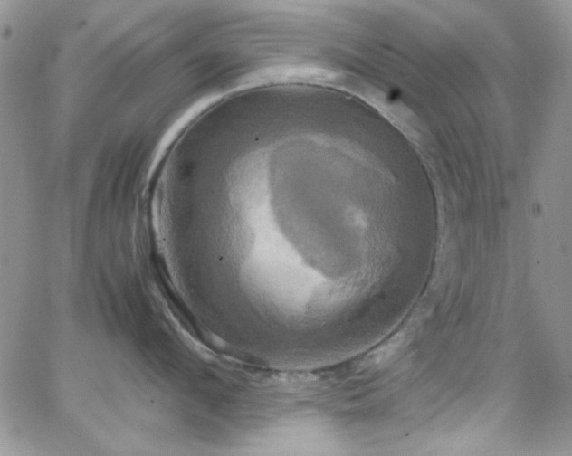 X0000066520912200603201320