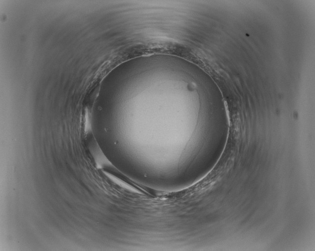 X0000066520916200603201319