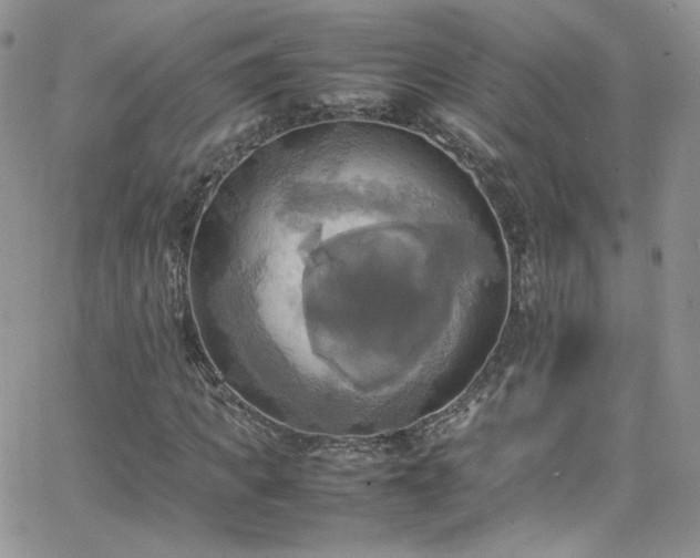 X0000066520917200603201319