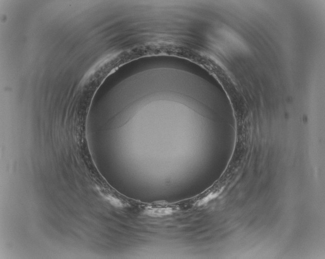 X0000066520919200603201319