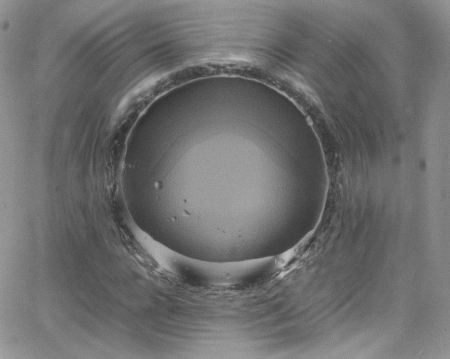 X0000066520920200603201320