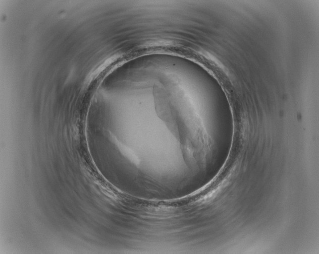 X0000066520921200603201320