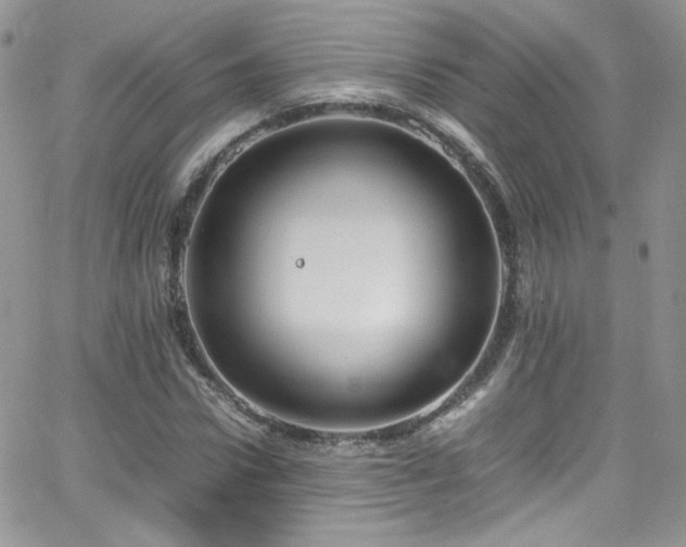 X0000066520922200603201320