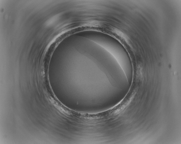 X0000066520923200603201320