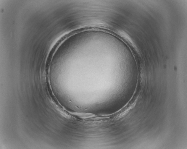 X0000066520924200603201320