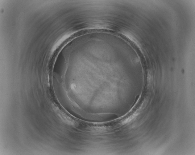 X0000066520925200603201320