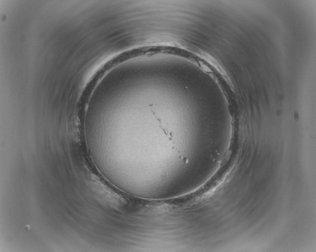 X0000066520926200603201320