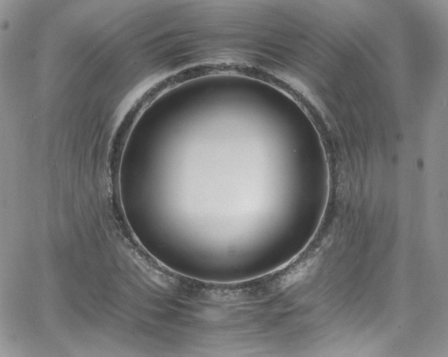 X0000066520927200603201320