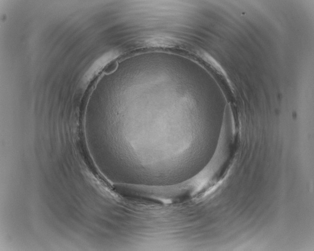 X0000066520930200603201320