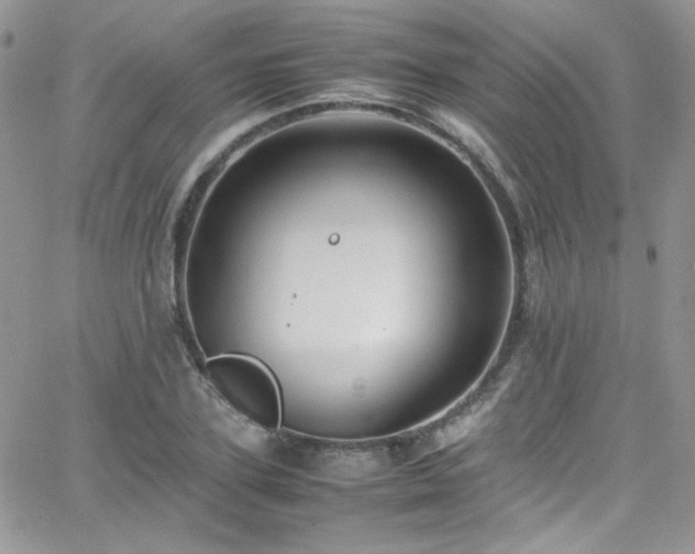 X0000066520931200603201320