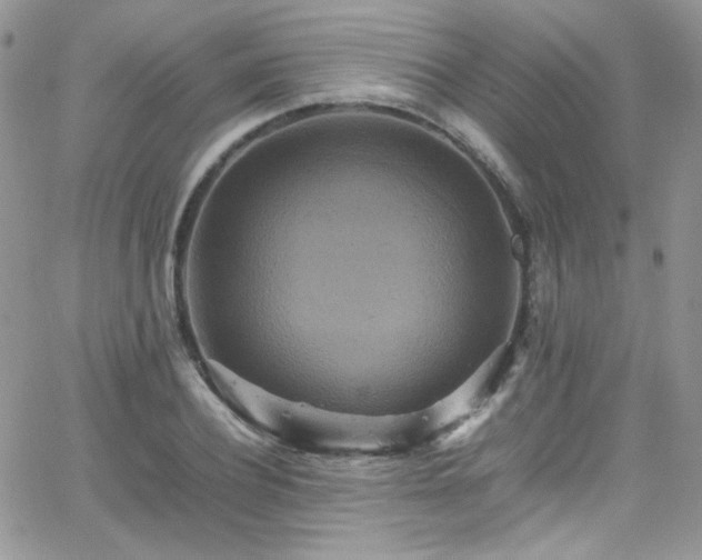 X0000066520932200603201320