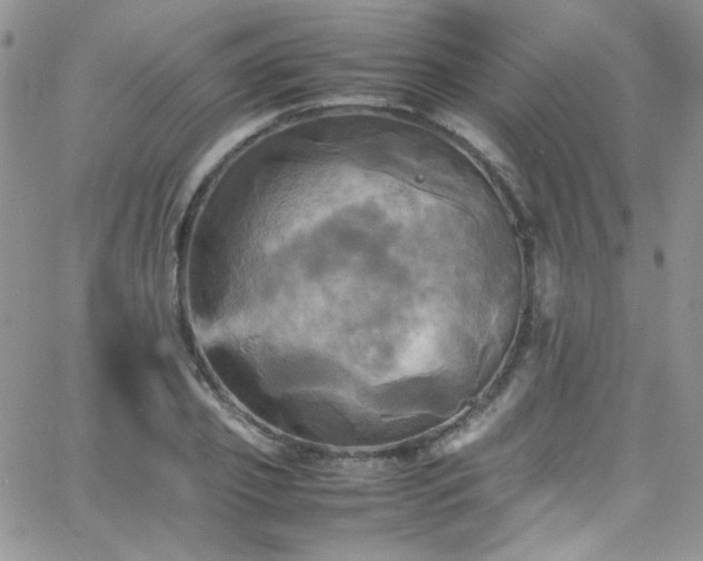 X0000066520933200603201320