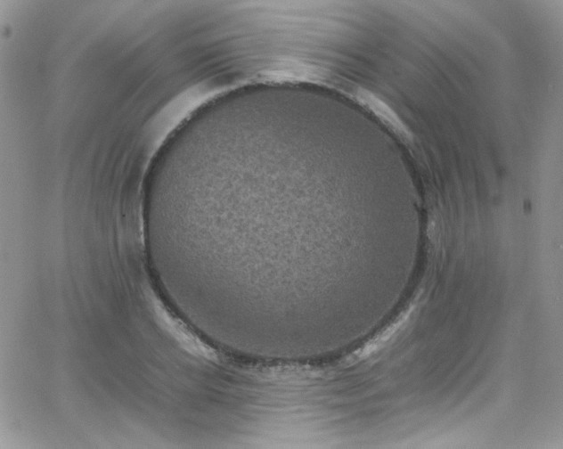 X0000066520934200603201320